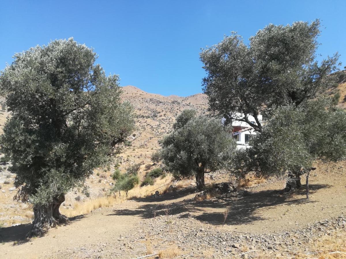 Sea Breeze Ecological Villa Агиа Галини Экстерьер фото