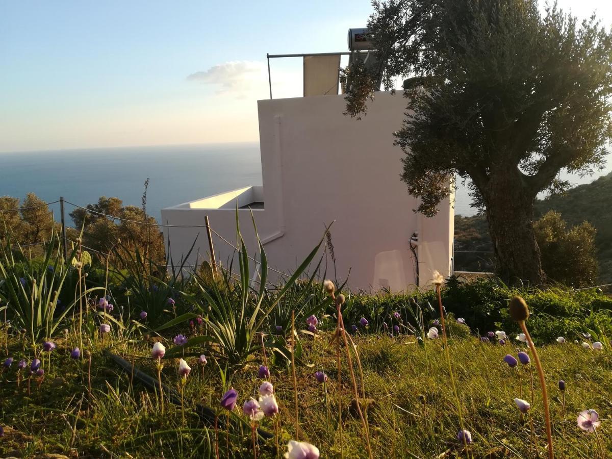 Sea Breeze Ecological Villa Агиа Галини Экстерьер фото